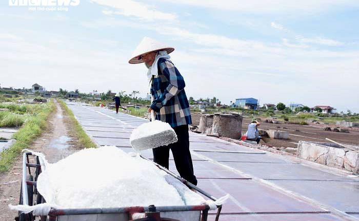 Ảnh: Nhọc nhằn nghề làm muối của diêm dân Thái Bình dưới nắng nóng 40 độ C