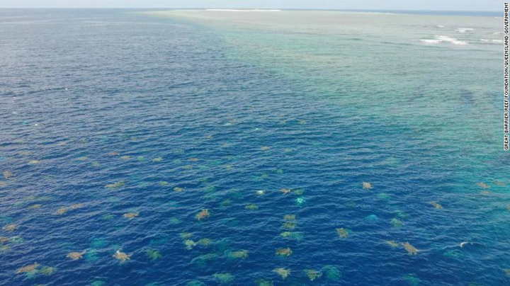 Choáng ngợp cảnh hàng nghìn con rùa bơi vào bờ làm tổ đẻ trứng