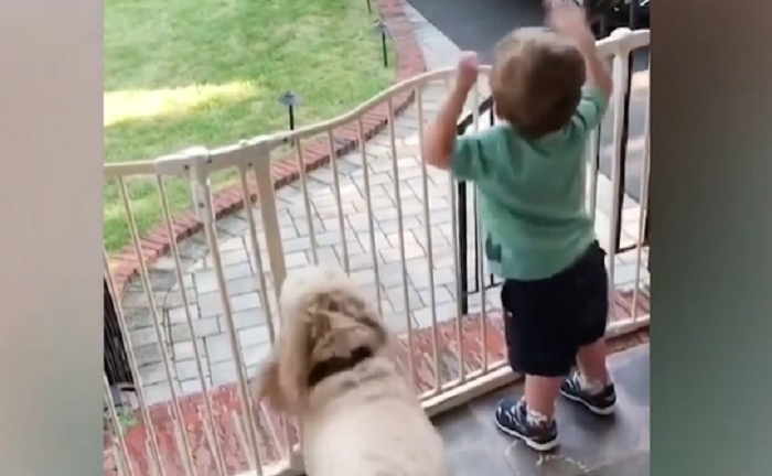 Clip em bé đón bố đi làm về dễ thương không chịu nổi