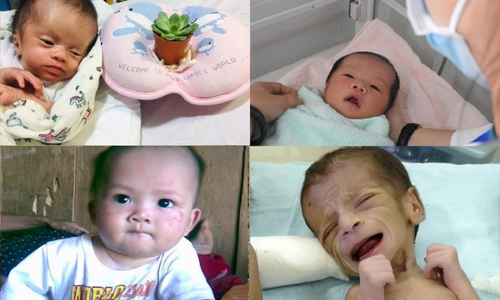 Bị bỏ rơi ở nghĩa địa, vườn hoang, nhiều bé sơ sinh sống sót kỳ diệu