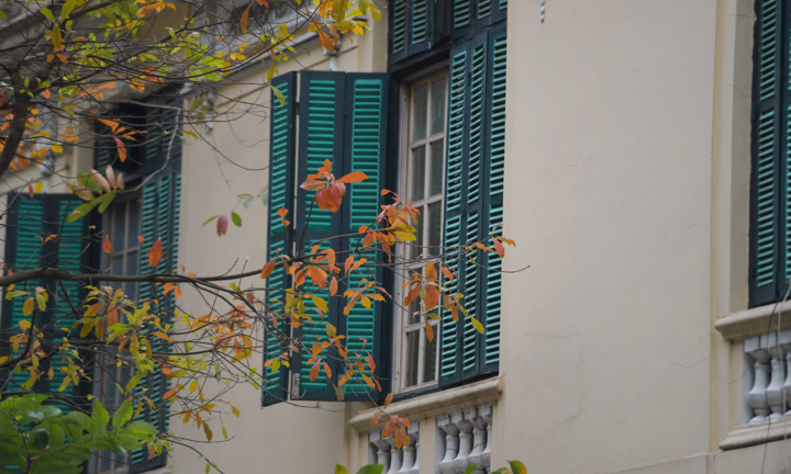 Hà Nội đẹp dịu dàng mùa thay lá 