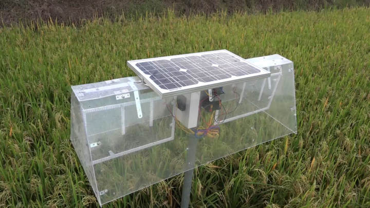 Thầy giáo miền Tây sáng chế máy diệt rầy bằng năng lượng mặt trời 
