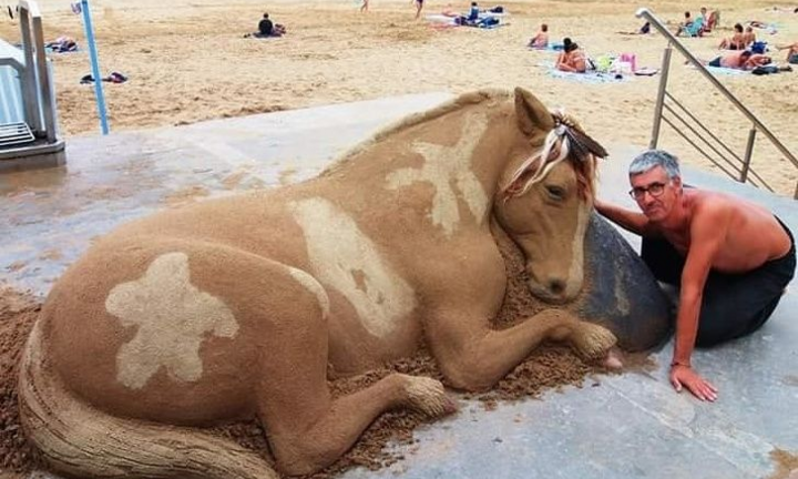 Khó tin những con vật khổng lồ sống động này lại chỉ là... cát