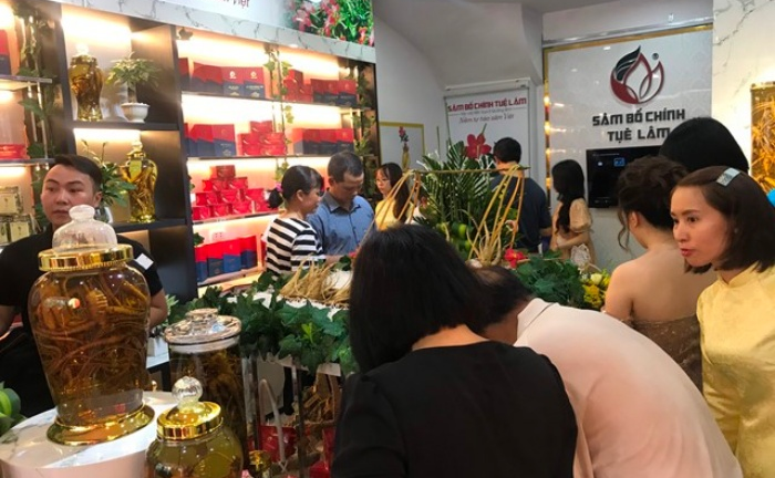 Sâm Bố Chính Quảng Bình ra mắt người dân Thủ đô