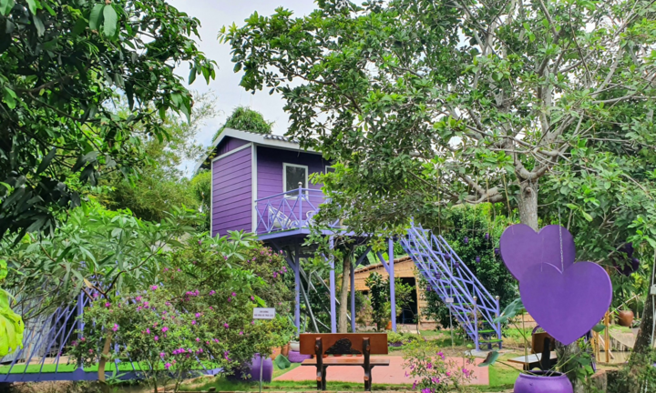 Căn nhà toàn màu tím giữa miền Tây đốn tim du khách