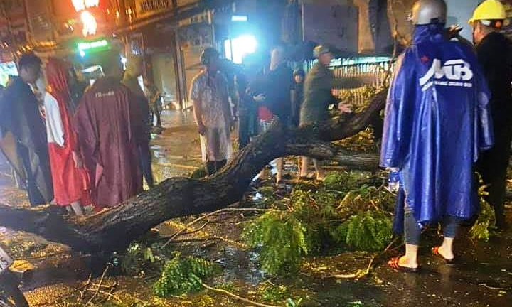 Cây xanh gãy nhánh, đè chết người đi đường trong mưa lớn ở TP.HCM
