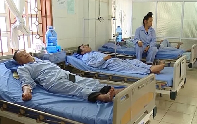 Ăn bọ xít, 19 anh em họ hàng bị ngộ độc 
