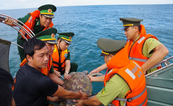 Bộ đội Biên phòng Hà Tĩnh thả con đồi mồi quý hiếm về biển