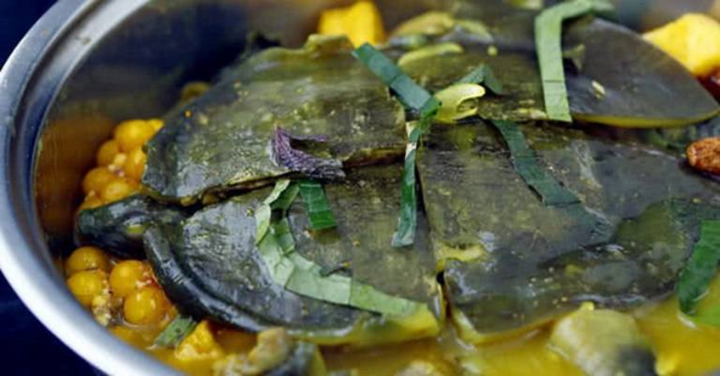 Những nhóm người nào không được ăn thịt ba ba?