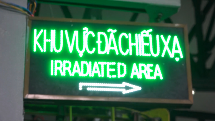 Quy trình chiếu xạ vải thiều xuất khẩu như thế nào?