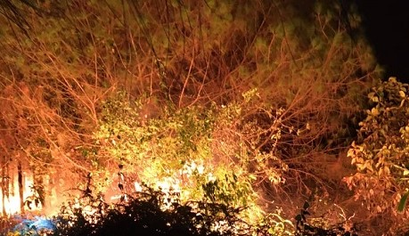 Hàng trăm người căng mình trong đêm, dập cháy rừng ở Hà Tĩnh 