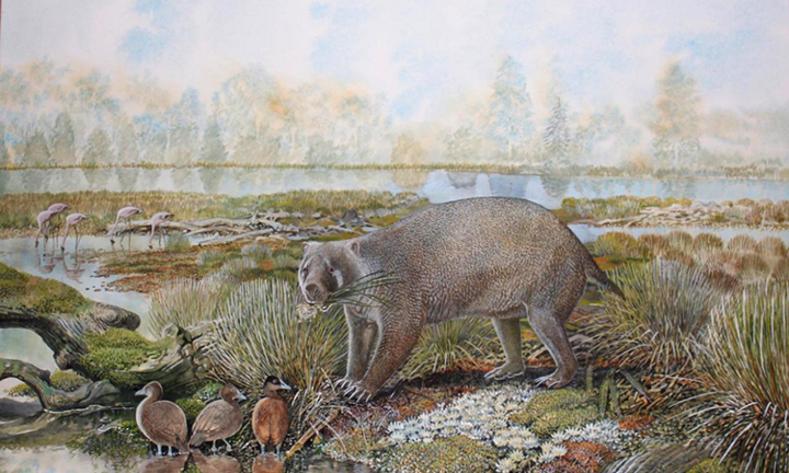 Phát hiện loài thú có túi khổng lồ 25 triệu năm trước ở Australia