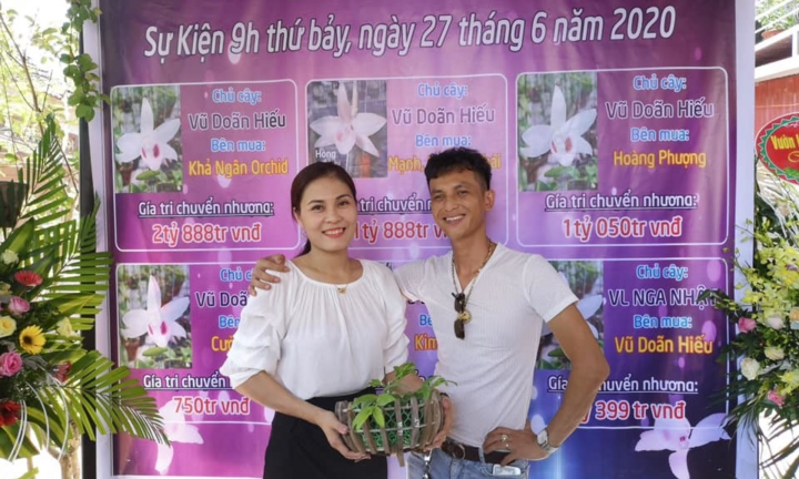 Phiên chợ hoa lan Bạch Tuyết 8 tỷ đồng ở Vĩnh Phúc