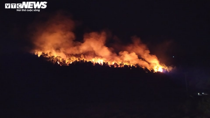 Liên tiếp xảy ra cháy rừng, Chủ tịch tỉnh Nghệ An yêu cầu điều tra xử lý nghiêm