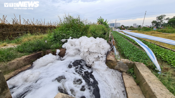Kinh hãi rau xanh mơn mởn 'tắm' trong nước thải đen kịt, bọt tung trắng xóa