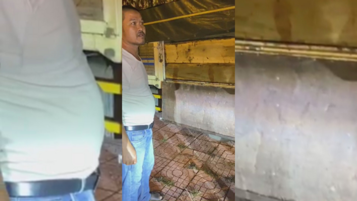 Bắt tài xế không bằng lái chở gỗ lậu trên đường Hồ Chí Minh trong đêm