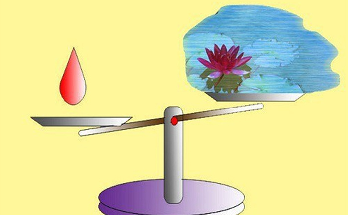 2 cô ruột keo kiệt, tham lam, tôi thấy giọt máu đào chẳng bằng ao nước lã