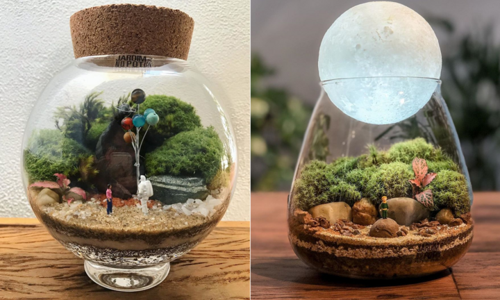 'Nhốt' vườn cây vào chai thuỷ tinh, 2 cô gái nổi danh trên mạng