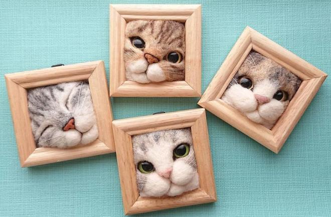 'Mèo béo mắc kẹt trong khung ảnh' - bộ sưu tập khiến dân mạng 'chết mê'