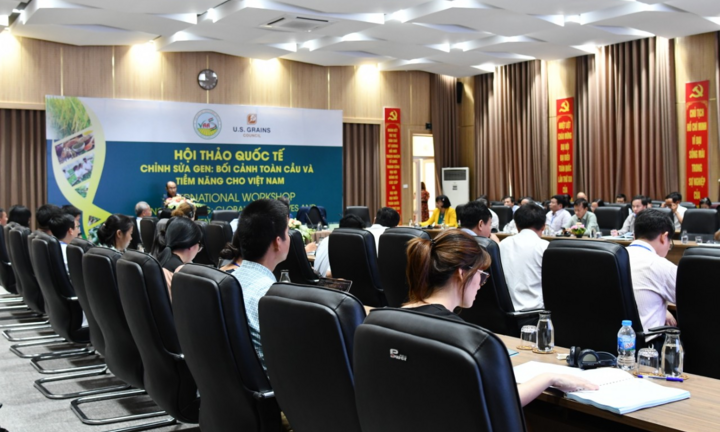 Ứng dụng chỉnh sửa gen trong nhân giống và cải tiến cây trồng ở Việt Nam