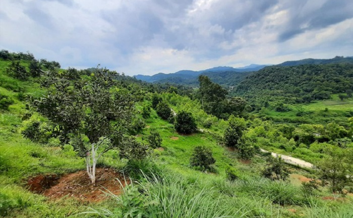 Macca Nutrition Việt Nam mời chào mua cổ phần, Hiệp hội Macca Việt Nam cảnh báo