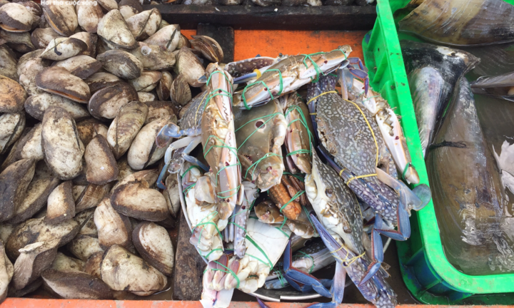 Ghẹ xanh giá 'rẻ như bèo' bán đầy lề đường ở TP.HCM