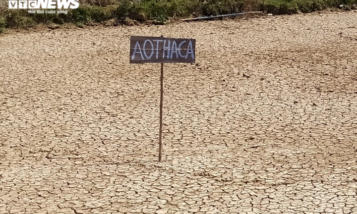 Nghệ An hạn hán kỷ lục 50 năm qua: Hơn 70 ngày không có mưa