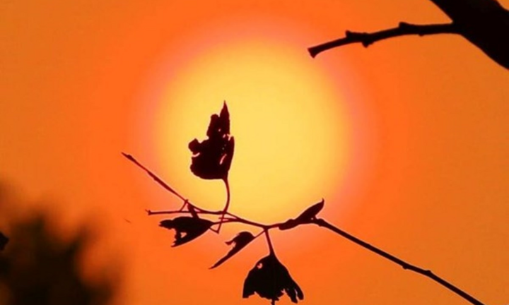 Miền Bắc nắng nóng gay gắt, tối có 'mưa vàng' giải nhiệt