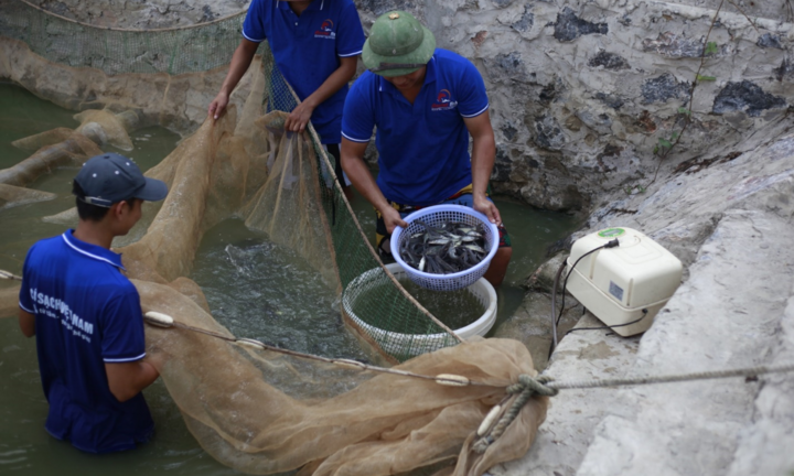Hợp tác 3 bên mang cá sạch, an toàn đến từng hộ gia đình