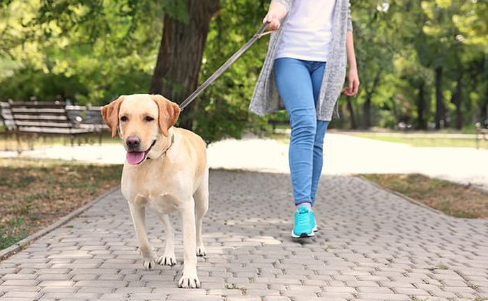 Bạn có thể đốt cháy 200 calo dễ dàng với 18 hoạt động này