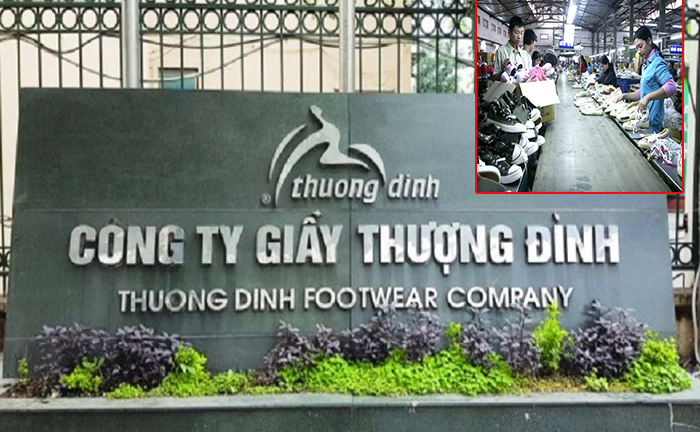 Giày Thượng Đình bị cưỡng chế nợ thuế