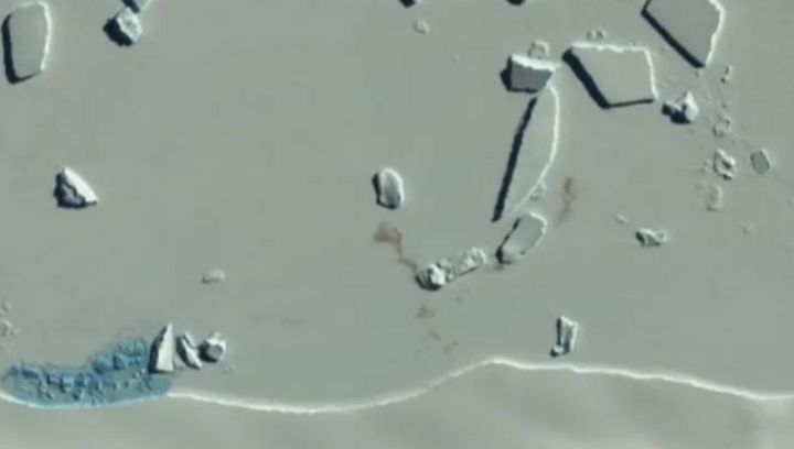 Ảnh vệ tinh tiết lộ về các 'thuộc địa' chưa từng được biết đến của chim cánh cụt