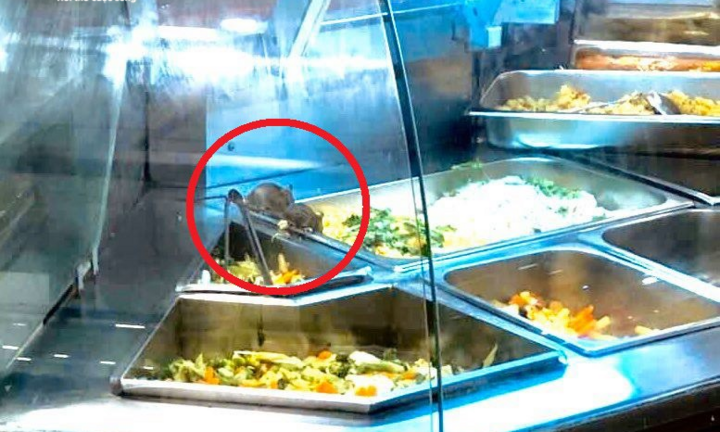 Để chuột bò lúc nhúc trên quầy thức ăn, Aeon Việt Nam xin lỗi 