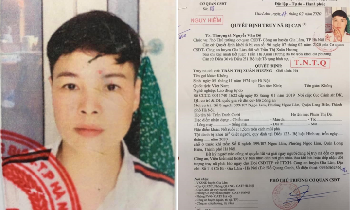 Truy nã người phụ nữ bỏ 300 triệu đồng thuê sát thủ giết người