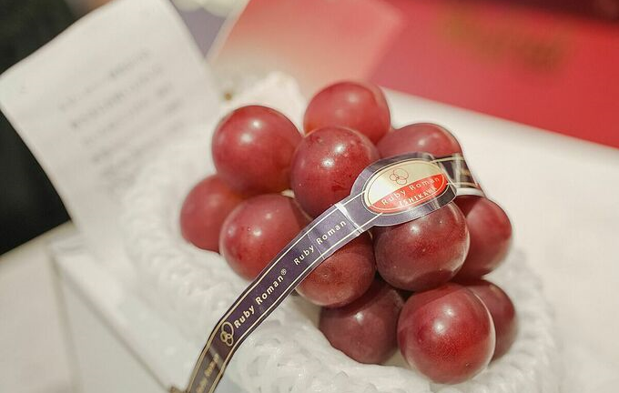 Vừa về Việt Nam, chùm nho Nhật giá 11 triệu đồng được bán hết veo