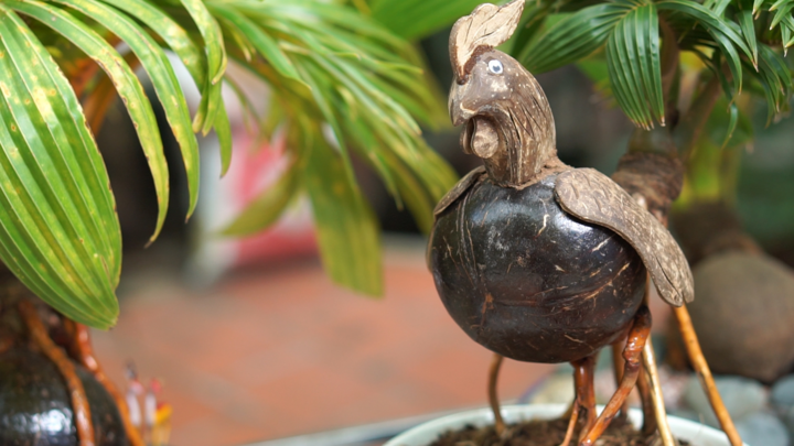 Ngắm bonsai dừa tạo hình con vật ở TP.HCM