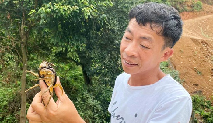 NSƯT Việt Hoàn làm nông thời dịch COVID-19