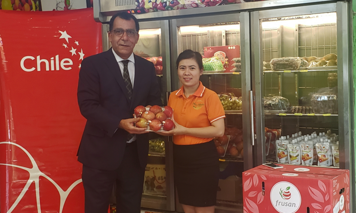 Táo Chile trở lại thị trường Việt Nam sau 5 năm vắng bóng