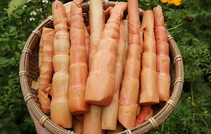 Măng đỏ độc lạ giá gần 200.000 đồng/kg hút khách