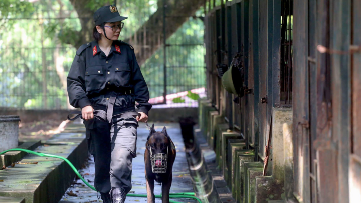  'Bóng hồng duy nhất' huấn luyện cảnh khuyển của Bộ tư lệnh Cảnh sát cơ động