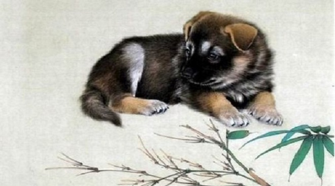 Tử vi 12 con giáp ngày 19/8: Tuổi Tuất dễ rơi vào cảnh nợ nần