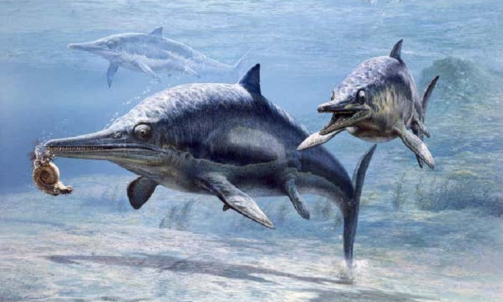 Tham ăn, loài bò sát biển cổ đại chết trong đau đớn