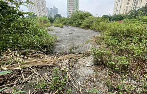 Kiểm tra hơn 300 dự án Hà Nội bị bỏ hoang