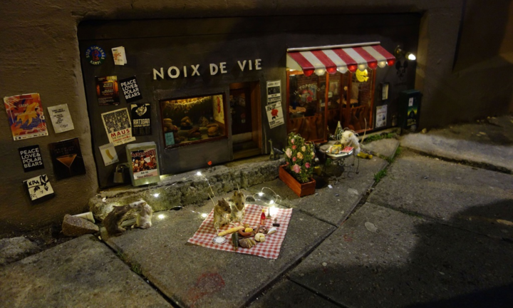 Thế giới của loài chuột trên đường phố châu Âu