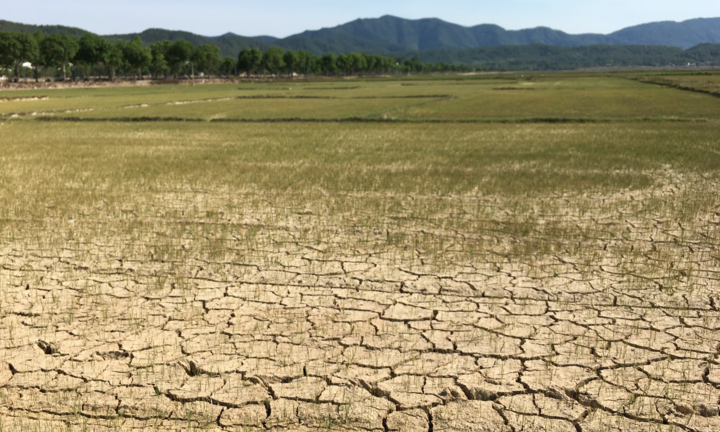 Bao giờ sửa quy định thuế GTGT về phân bón?