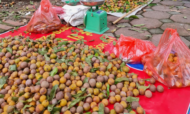 Đặc sản sấu chín Hà Nội cháy hàng, có bao nhiêu cũng bán hết