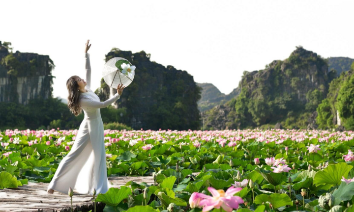 Ngỡ ngàng khung cảnh sắc nước hương trời của đầm sen Hang Múa khi vào Thu