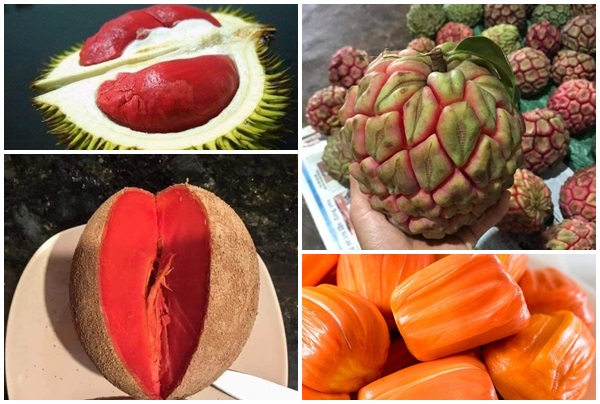 4 loại quả ruột đỏ giá 'chát' vẫn hút khách Việt
