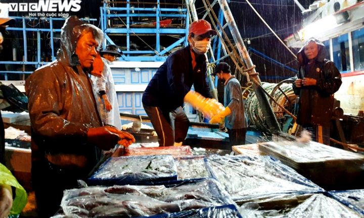 Ảnh: Ngư dân đội mưa xuyên đêm bốc cá trước giờ bão số 5 đổ bộ