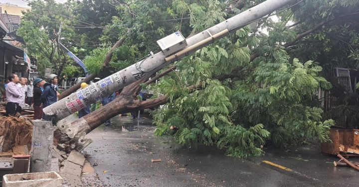 Vì sao nhiều cột điện gãy, đổ trong bão số 5?